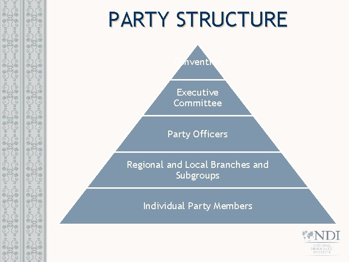 PARTY STRUCTURE Convention Executive Committee Party Officers Regional and Local Branches and Subgroups Individual
