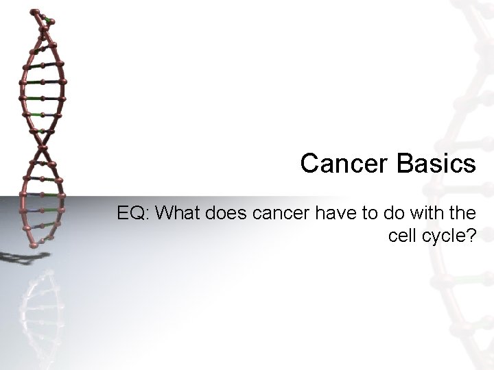Cancer Basics EQ: What does cancer have to do with the cell cycle? 
