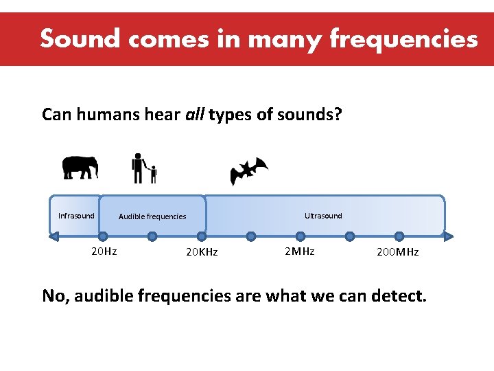 Sound comes in many frequencies Can humans hear all types of sounds? Infrasound 20