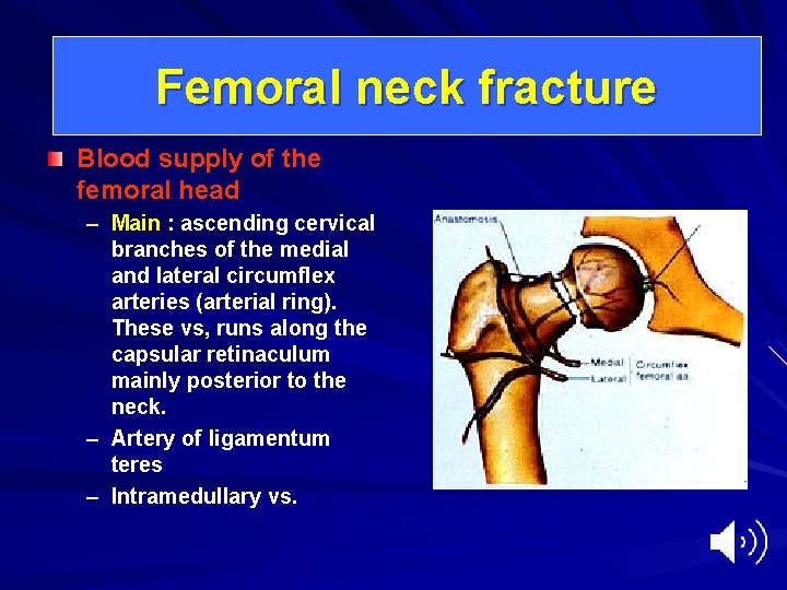 Femoral neck fracture Blood supply of the femoral head – Main : ascending cervical