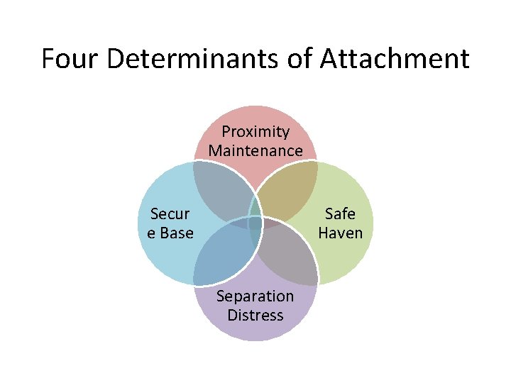 Four Determinants of Attachment Proximity Maintenance Secur e Base Safe Haven Separation Distress 