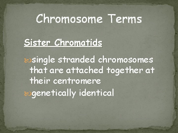 Chromosome Terms Sister Chromatids single stranded chromosomes that are attached together at their centromere