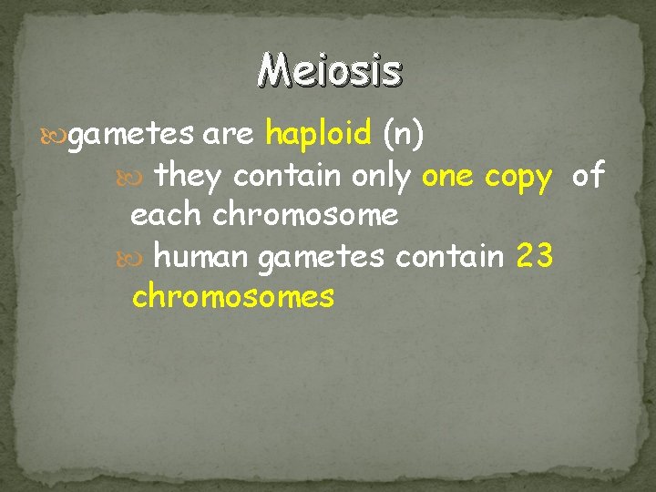 Meiosis gametes are haploid (n) they contain only one copy of each chromosome human
