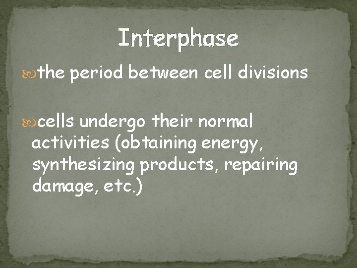 Interphase the period between cell divisions cells undergo their normal activities (obtaining energy, synthesizing