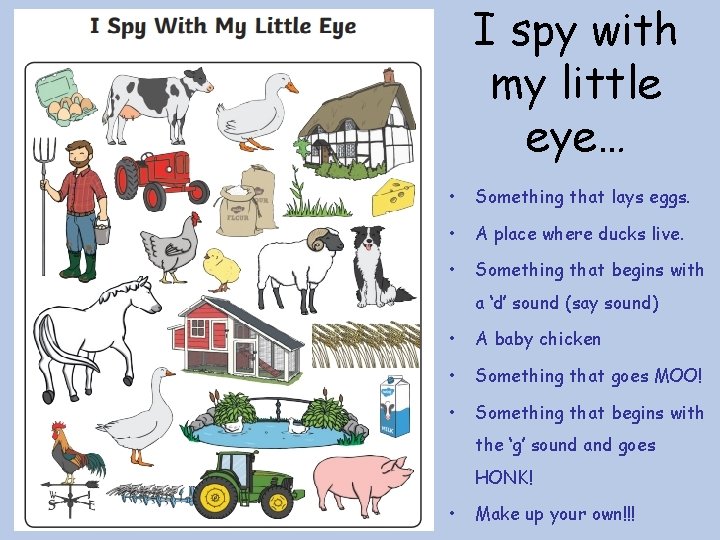 I spy with my little eye… • Something that lays eggs. • A place