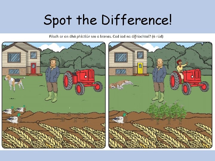 Spot the Difference! 