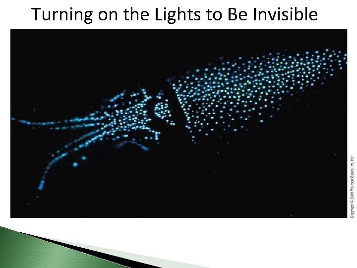 Turning on the Lights to Be Invisible 