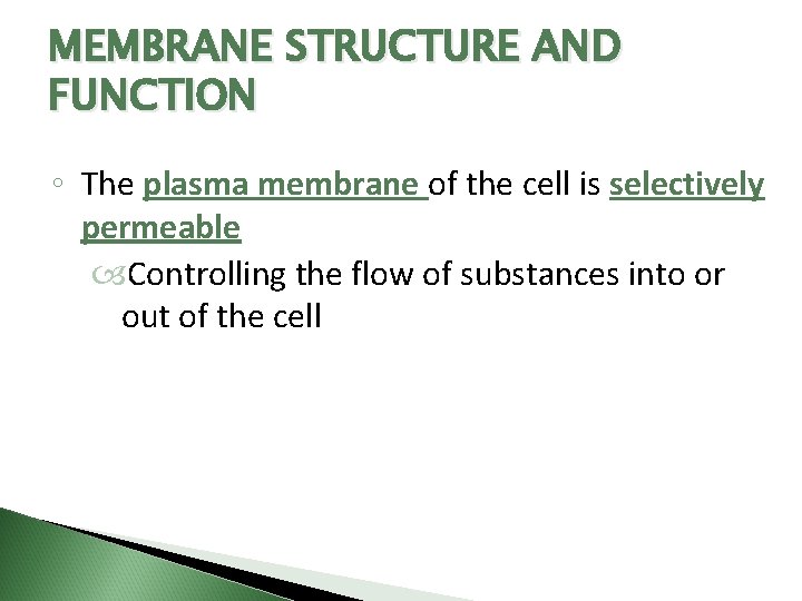 MEMBRANE STRUCTURE AND FUNCTION ◦ The plasma membrane of the cell is selectively permeable
