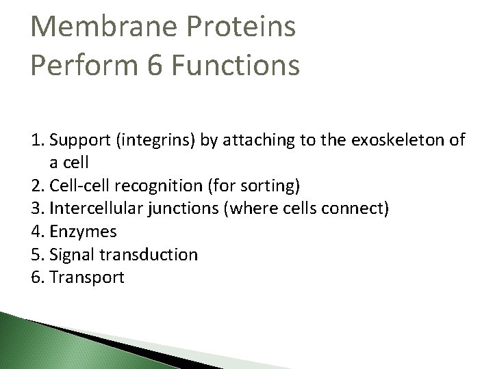 Membrane Proteins Perform 6 Functions 1. Support (integrins) by attaching to the exoskeleton of