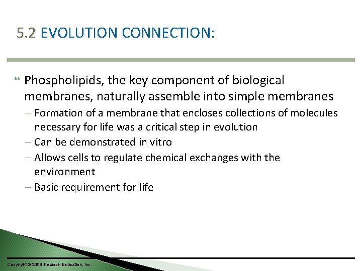 5. 2 EVOLUTION CONNECTION: Phospholipids, the key component of biological membranes, naturally assemble into