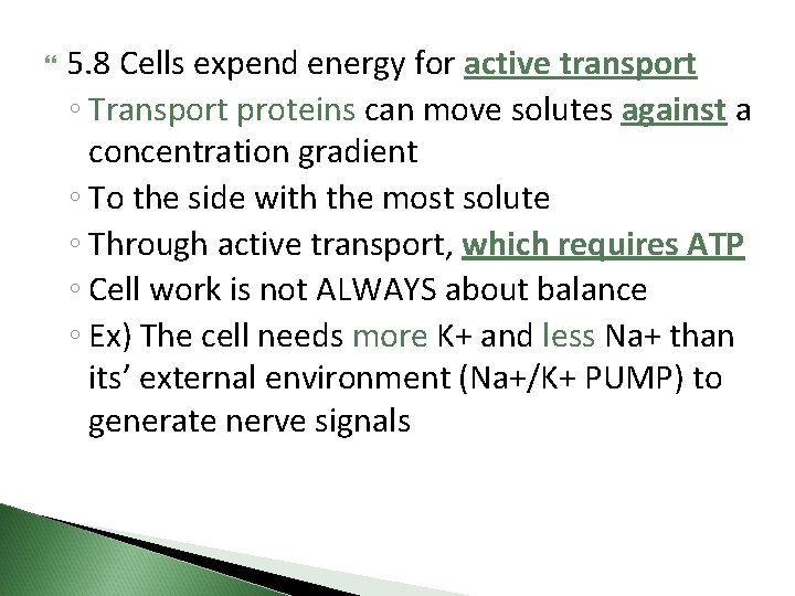  5. 8 Cells expend energy for active transport ◦ Transport proteins can move