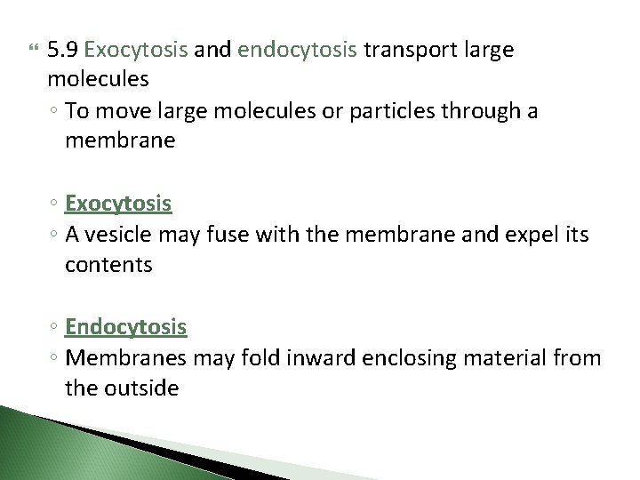  5. 9 Exocytosis and endocytosis transport large molecules ◦ To move large molecules