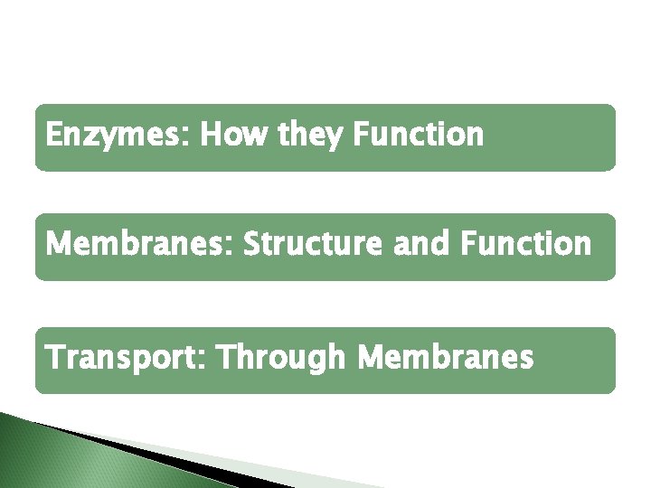 Enzymes: How they Function Membranes: Structure and Function Transport: Through Membranes 