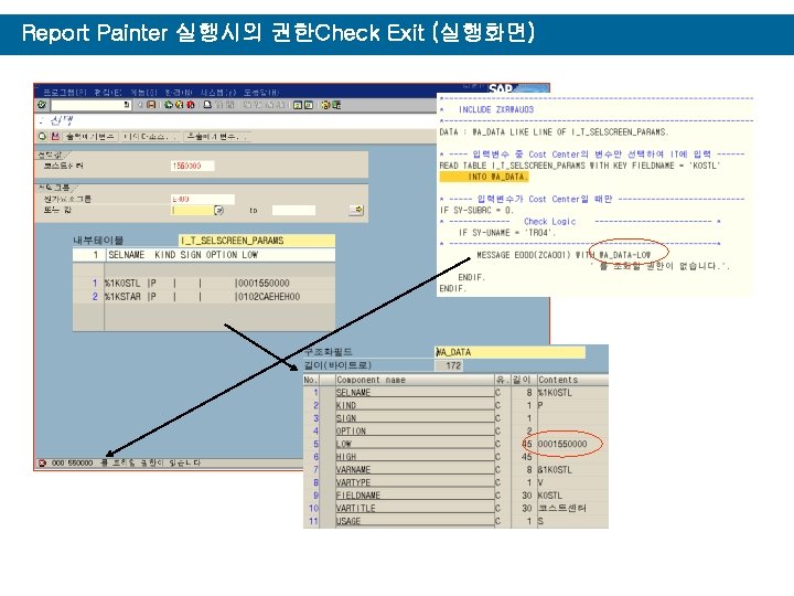 Report Painter 실행시의 권한Check Exit (실행화면) 