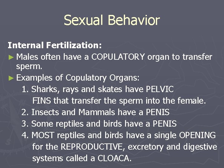 Sexual Behavior Internal Fertilization: ► Males often have a COPULATORY organ to transfer sperm.