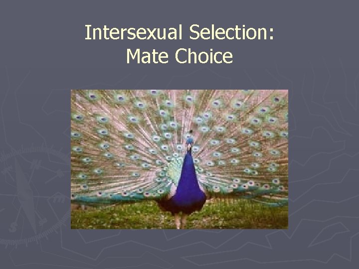 Intersexual Selection: Mate Choice 
