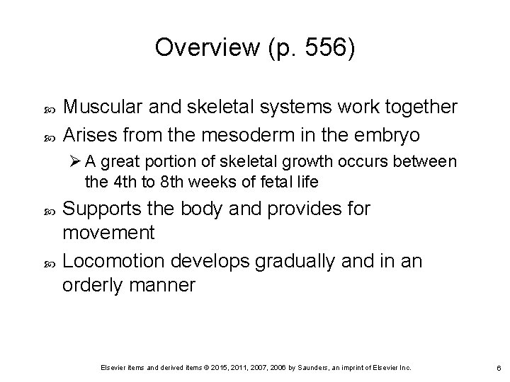 Overview (p. 556) Muscular and skeletal systems work together Arises from the mesoderm in