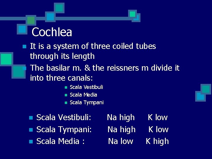 Cochlea n n It is a system of three coiled tubes through its length