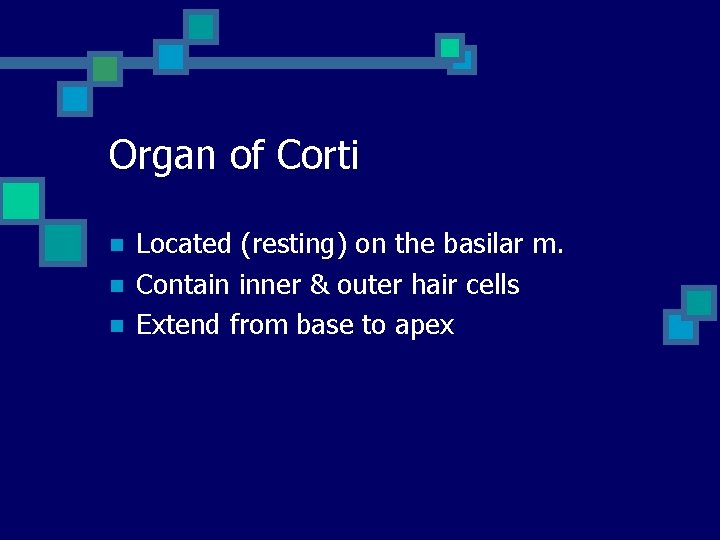 Organ of Corti n n n Located (resting) on the basilar m. Contain inner