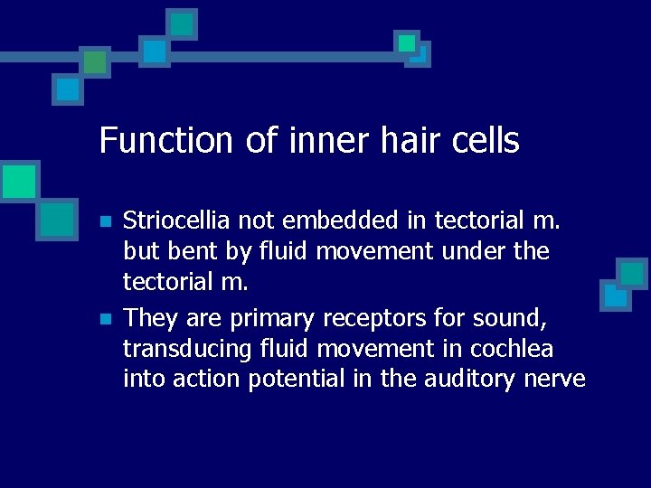 Function of inner hair cells n n Striocellia not embedded in tectorial m. but Function of inner hair cells n n Striocellia not embedded in tectorial m. but