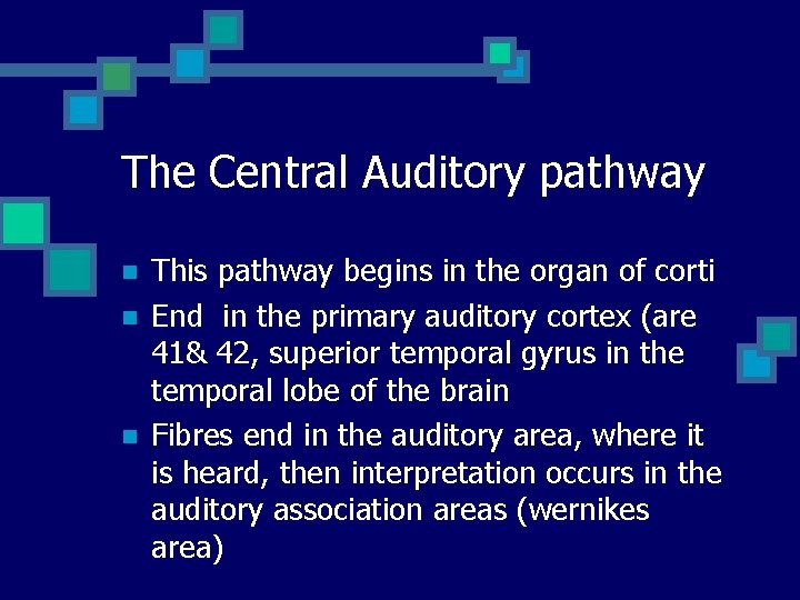 The Central Auditory pathway n n n This pathway begins in the organ of