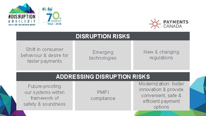 DISRUPTION RISKS Shift in consumer behaviour & desire for faster payments Emerging technologies New