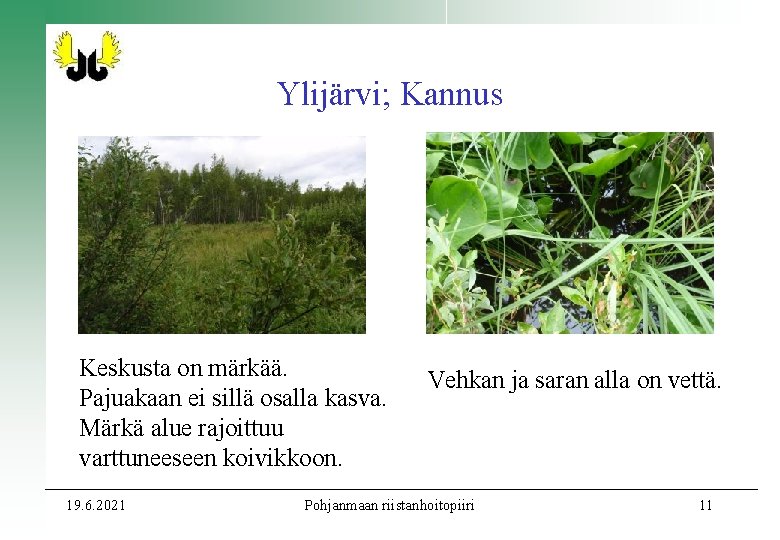 Ylijärvi; Kannus Keskusta on märkää. Pajuakaan ei sillä osalla kasva. Märkä alue rajoittuu varttuneeseen