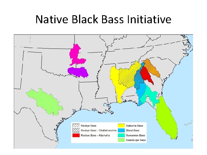 Native Black Bass Initiative 