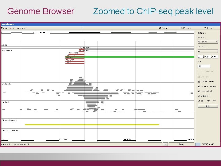 Genome Browser Zoomed to Ch. IP-seq peak level 