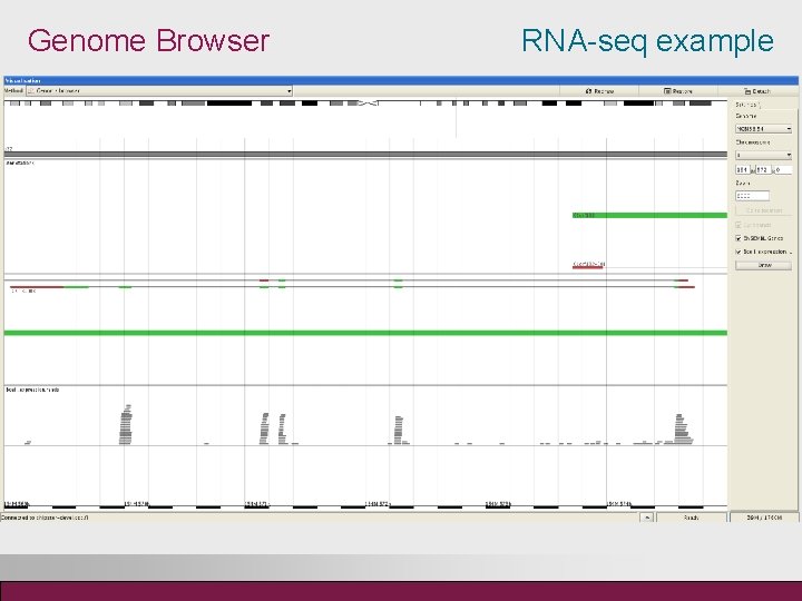 Genome Browser RNA-seq example 