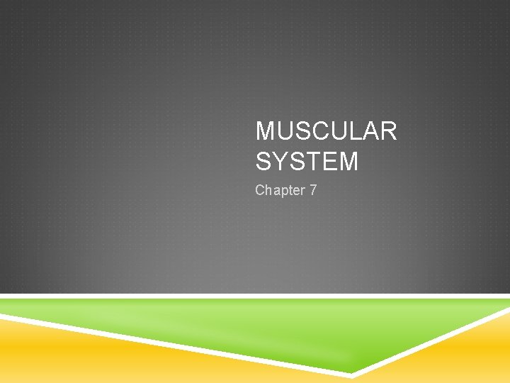 MUSCULAR SYSTEM Chapter 7 