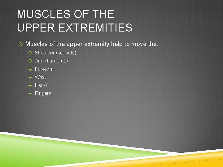 MUSCLES OF THE UPPER EXTREMITIES Muscles of the upper extremity help to move the: