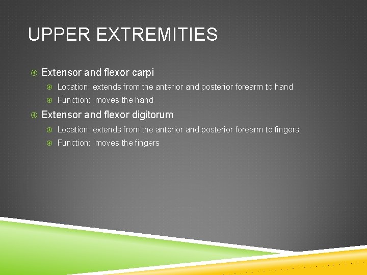 UPPER EXTREMITIES Extensor and flexor carpi Location: extends from the anterior and posterior forearm