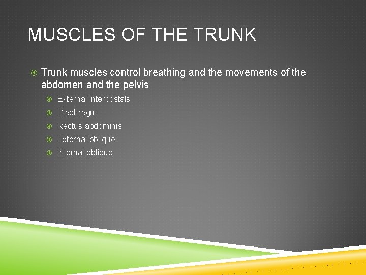 MUSCLES OF THE TRUNK Trunk muscles control breathing and the movements of the abdomen