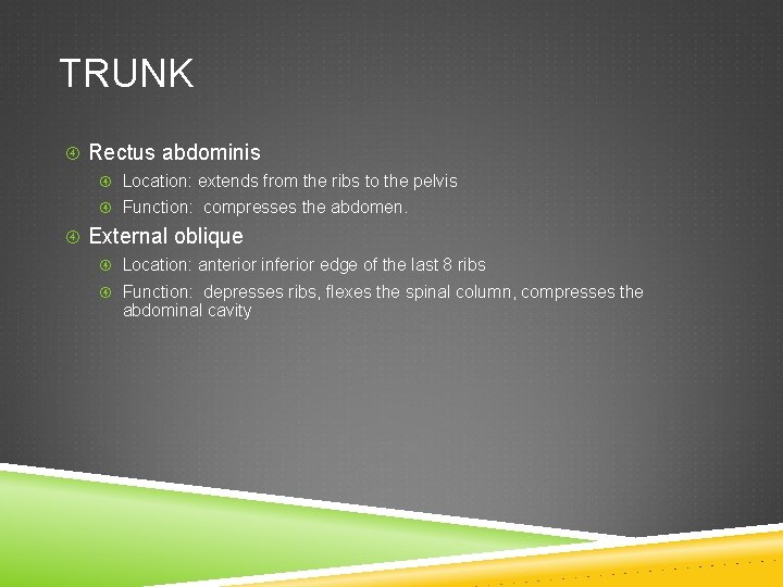TRUNK Rectus abdominis Location: extends from the ribs to the pelvis Function: compresses the