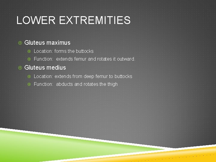 LOWER EXTREMITIES Gluteus maximus Location: forms the buttocks Function: extends femur and rotates it