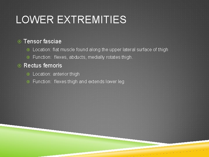 LOWER EXTREMITIES Tensor fasciae Location: flat muscle found along the upper lateral surface of