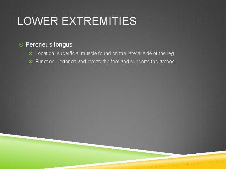 LOWER EXTREMITIES Peroneus longus Location: superficial muscle found on the lateral side of the