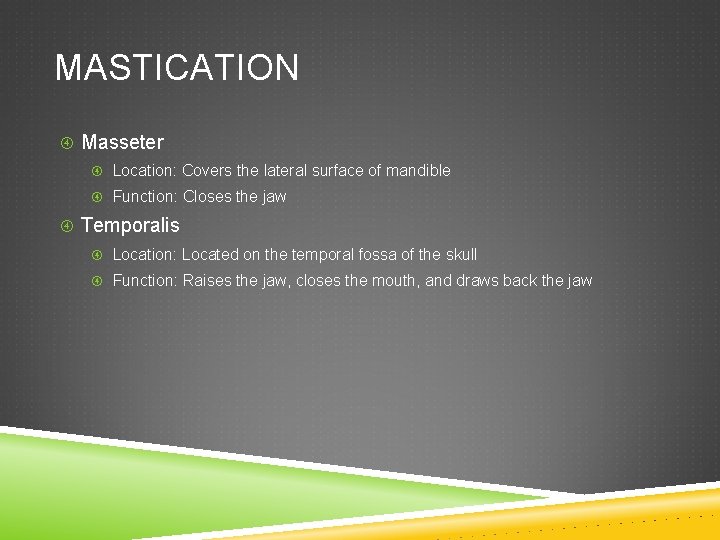 MASTICATION Masseter Location: Covers the lateral surface of mandible Function: Closes the jaw Temporalis