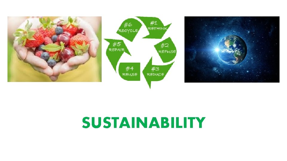 SUSTAINABILITY 