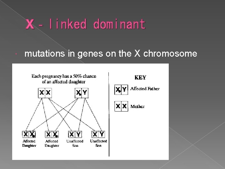 X‐linked dominant mutations in genes on the X chromosome 
