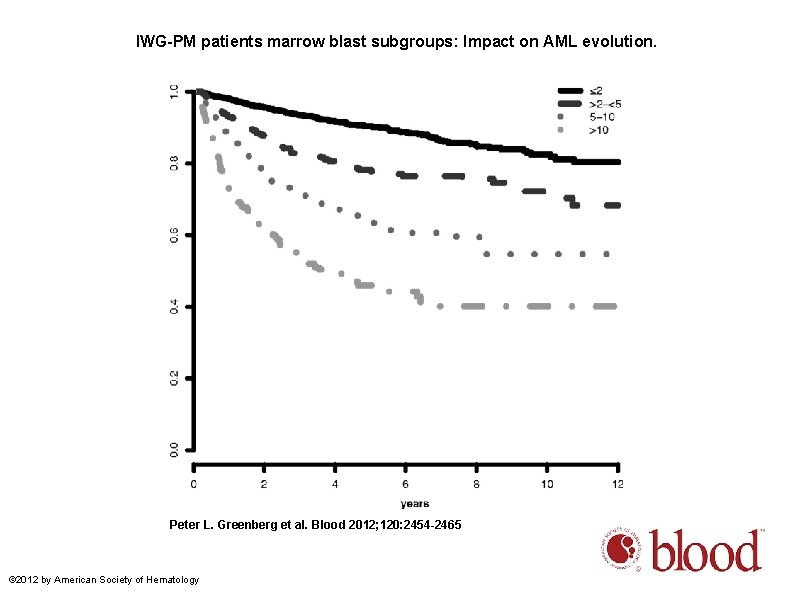 IWG-PM patients marrow blast subgroups: Impact on AML evolution. Peter L. Greenberg et al.