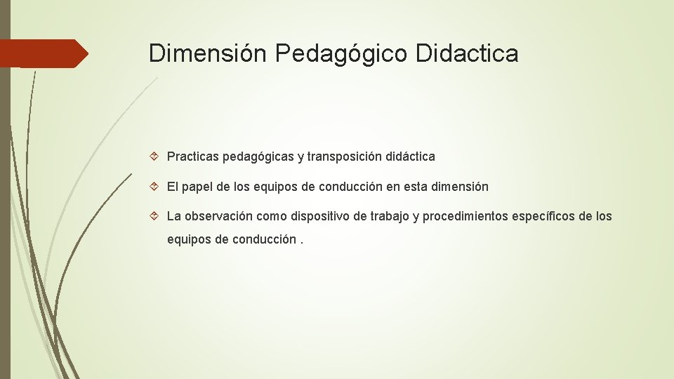 Dimensión Pedagógico Didactica Practicas pedagógicas y transposición didáctica El papel de los equipos de