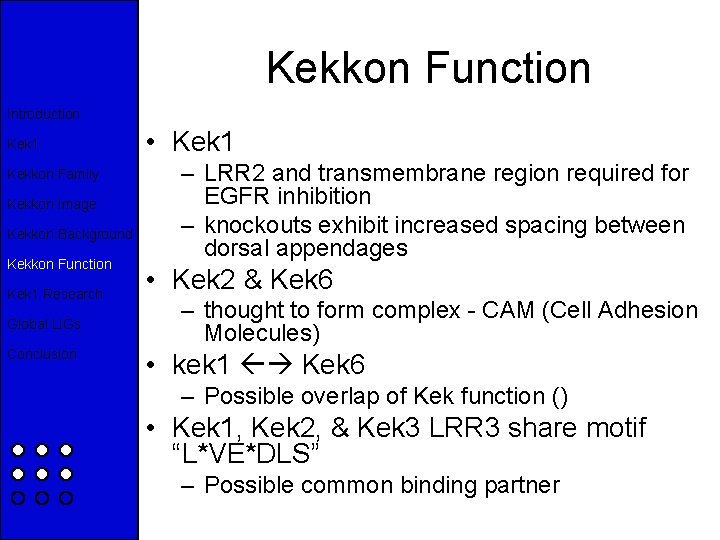 Kekkon Function Introduction Kek 1 Kekkon Family Kekkon Image Kekkon Background Kekkon Function Kek