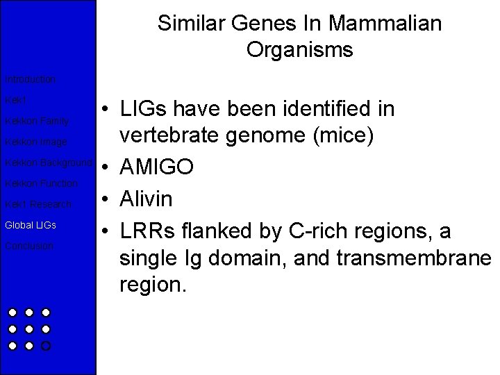 Similar Genes In Mammalian Organisms Introduction Kek 1 Kekkon Family Kekkon Image Kekkon Background