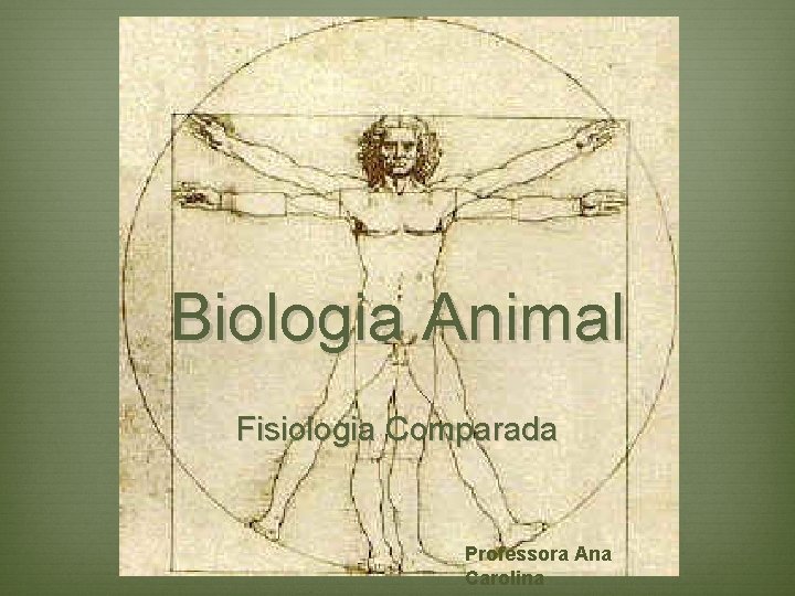 Biologia Animal Fisiologia Comparada Professora Ana Carolina 