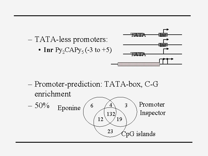 TATA – TATA-less promoters: Inr • Inr Py 2 CAPy 5 (-3 to +5)