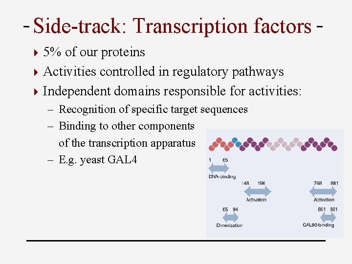 Side-track: Transcription factors 4 5% of our proteins 4 Activities controlled in regulatory pathways