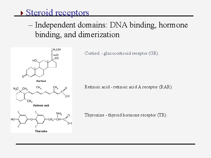 4 Steroid receptors – Independent domains: DNA binding, hormone binding, and dimerization Cortisol -