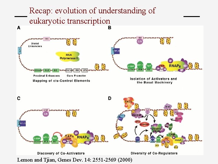 Recap: evolution of understanding of eukaryotic transcription Lemon and Tjian, Genes Dev. 14: 2551